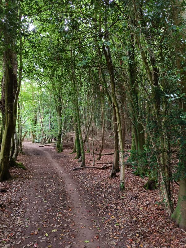 North Downs Way